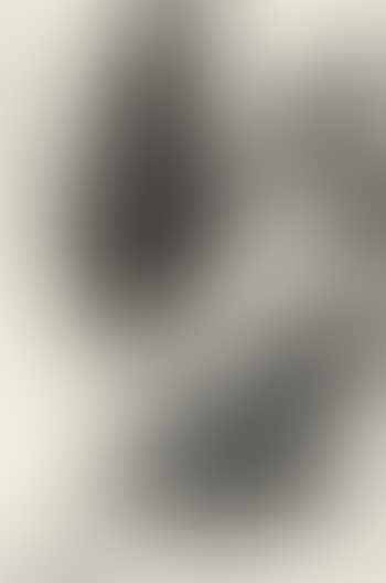 Chicken (preview)