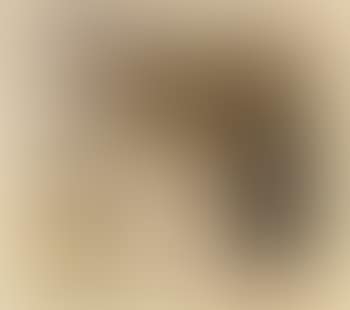 Somalitanz (preview)
