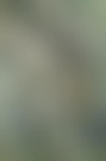 Ohne Titel (preview)