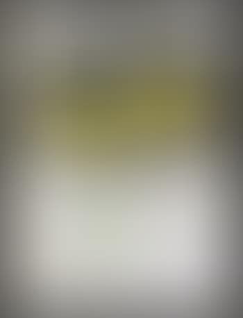 The umbrellas (yellow, joint project for Japan and USA) (preview)