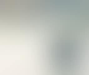 Birds (preview)
