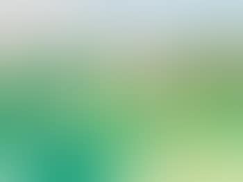 Birds in a meadow (preview)