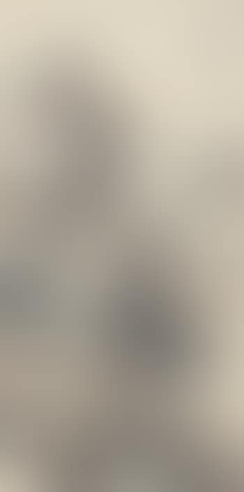 Landscape (preview)