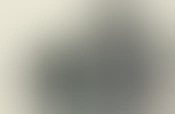 Landscape (preview)