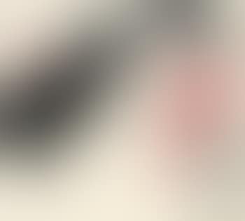 Lotus (preview)