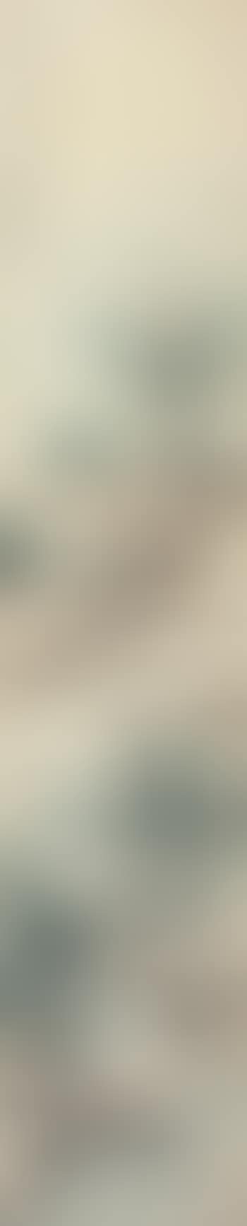 Landscape (preview)