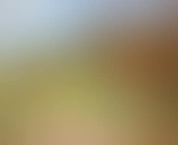 Paysage de campagne (preview)