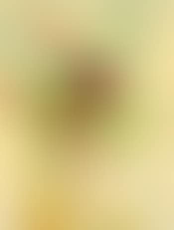Bouquet devant la Tour Eiffel (preview)
