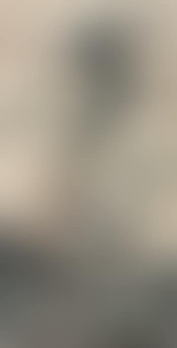Landscape (preview)