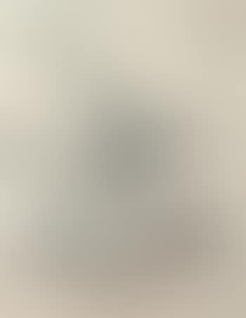 Landscape (preview)