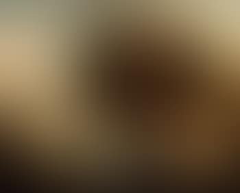 Paysage de ruines et vaches (preview)