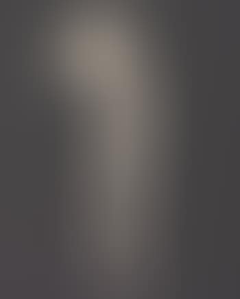 Ecstasy, Edison Mazda Lamps calendar preliminary cover (preview)