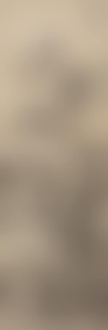 Landscape (preview)
