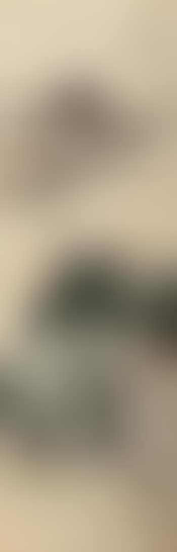 Landscape (preview)