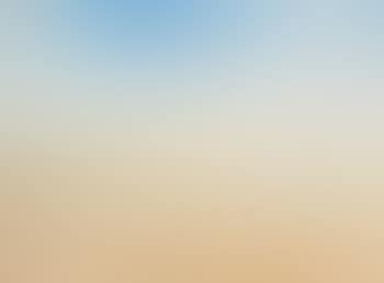 Wimmera Landscape with Farmer and Cockatoos (preview)