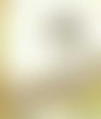 A wooded landscape (preview)