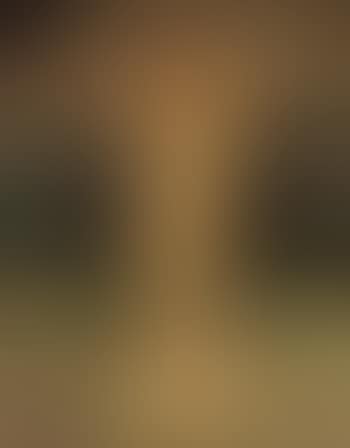 Venus Anadyomene / Venus Rising from the Sea (preview)