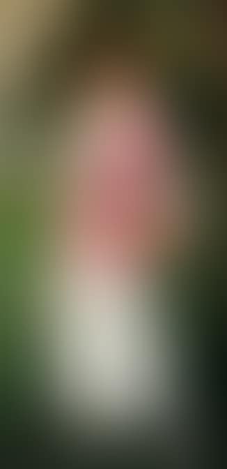 Portræt af min Datter / The painter's daughter Lykke in the garden with a basket of roses (preview)