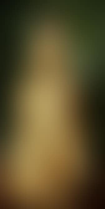 Portrait of Anna Helen Eybe married to barrister Eybe, in a yellow evening gown (preview)