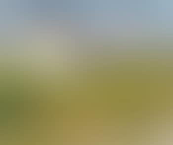 Iceland (preview)