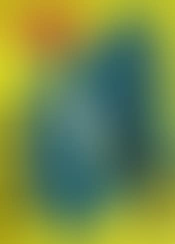 Composizione (preview)