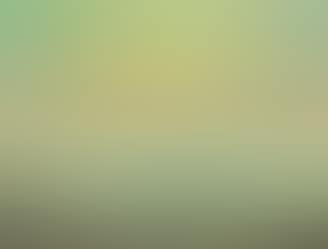 in orange, blue, green and yellow (preview)