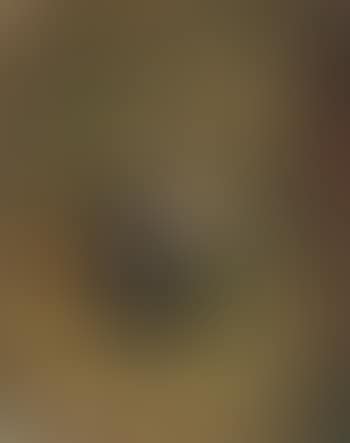 Still Life with Sunflowers (preview)