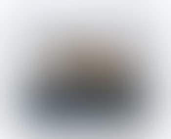 Still Life with Calf's Head (preview)