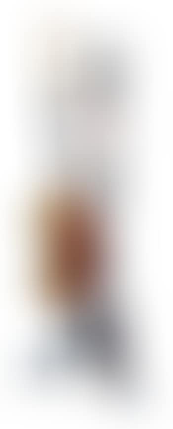 Musician Playing The Double Bass (preview)
