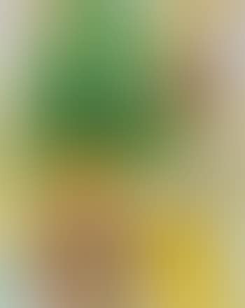 Woman at the Window (preview)