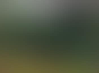 Landscape near Dollar (preview)