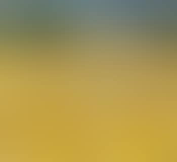 Stubble Field (preview)