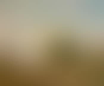 Carmel Valley (preview)