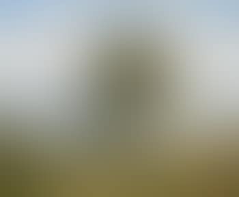 Bernauer Landschaft (preview)