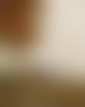 Vor dem Haus (preview)