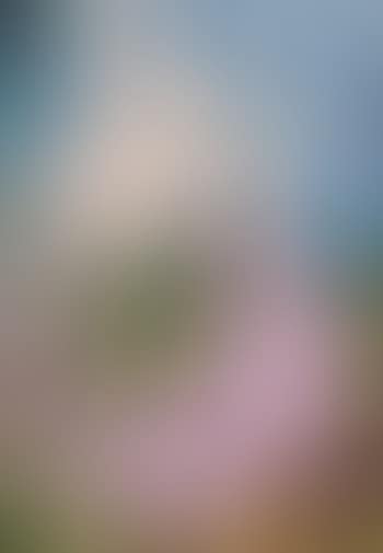 Sans titre (preview)