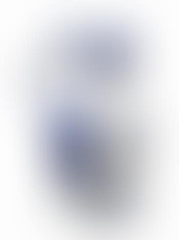 Owl (AR 253) (preview)