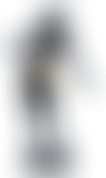 Le minotaure (preview)