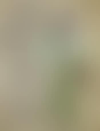 Composition (preview)