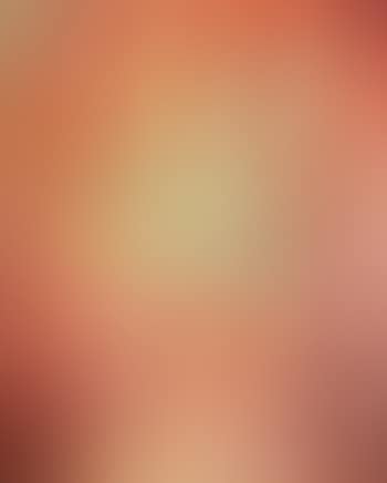 Le spectacle (preview)
