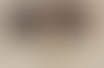 Ohne Titel (preview)