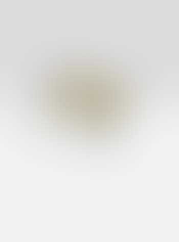 Fast Particles (preview)