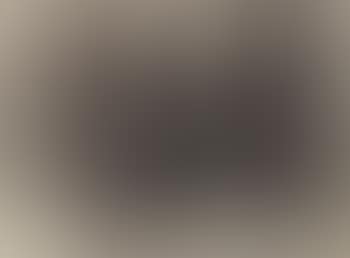 Nature morte (preview)