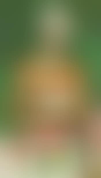 Masked Clown with Dove (preview)