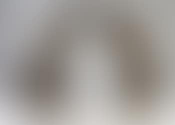 Paire de chiens de chasse assis (preview)