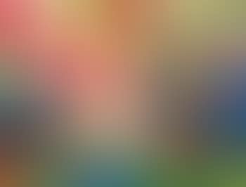 Paysage de Hollande (preview)