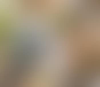 Nigler (preview)