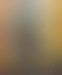 Nature morte (preview)