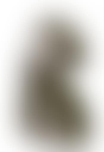 Head of a woman (preview)