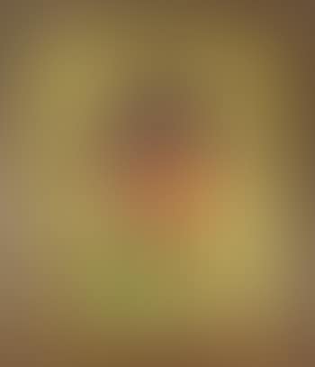 Portrait of an Indian youth (preview)